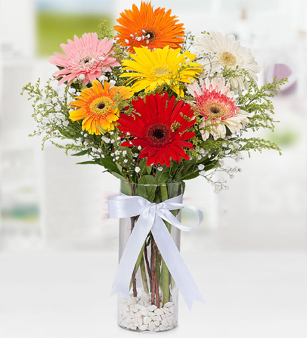 Kristal Cam Vazoda Renkli Gerbera Aranjmanı